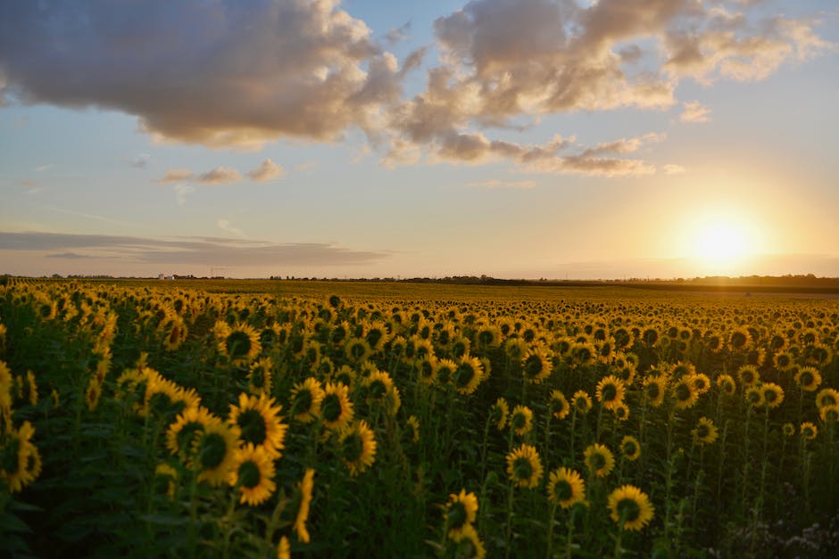 Russland Sommerferien Daten